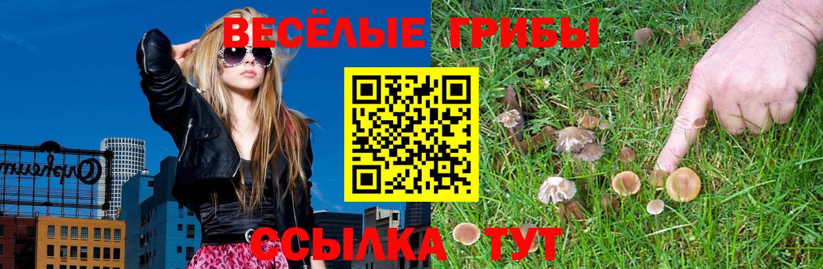 Галлюциногенные грибы мухоморы Ленинск-Кузнецкий